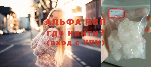 стафф Коряжма