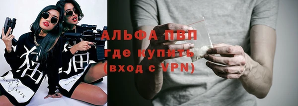 стафф Коряжма