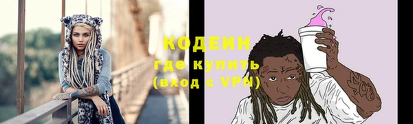 стафф Коряжма