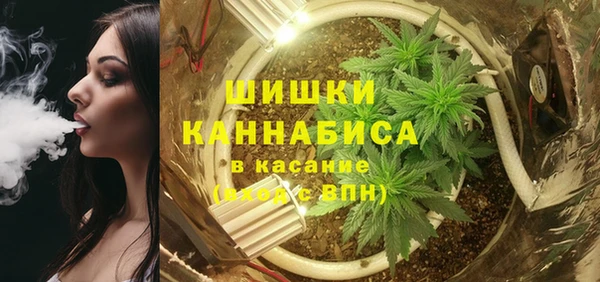 стафф Коряжма