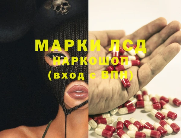 стафф Коряжма