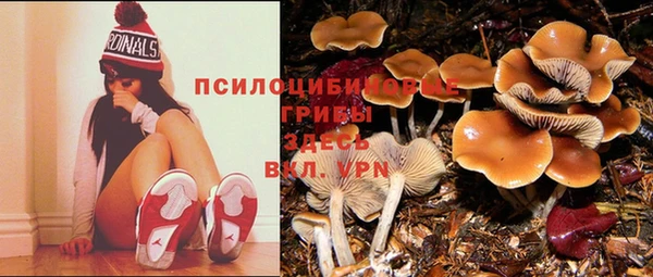 стафф Коряжма