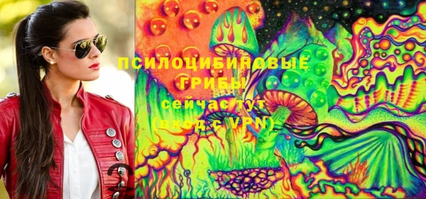 мяу мяу мука Корсаков