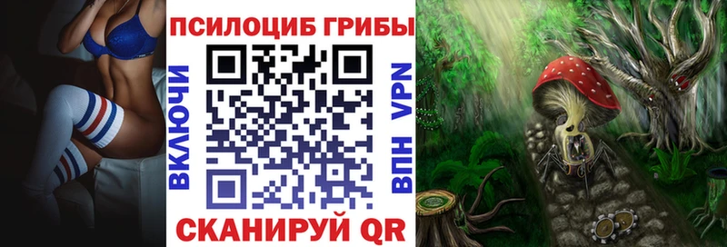 Купить  Нижний Тагил  Галлюциногенные грибы MAGIC MUSHROOMS 